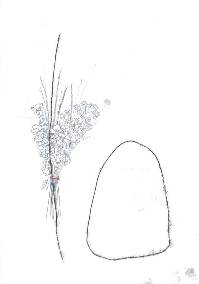 les lents arpenteurs